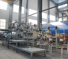 30L自動(dòng)化高壓反應(yīng)釜